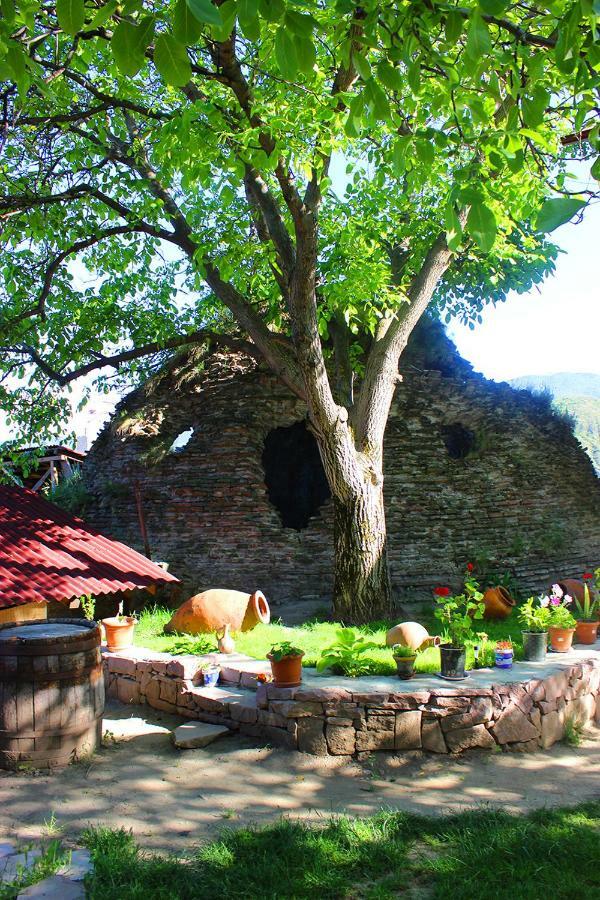 Hotel Beni Akhaltsikhe  Kültér fotó
